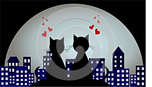 Lovers in the background of a night city. Love. loving cats.