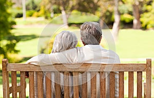 Lovers on the bench photo