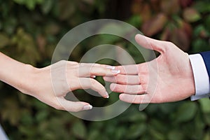 Lovers couple holding hands