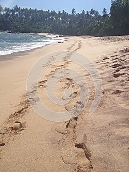 Lovers' Footprints on the beach