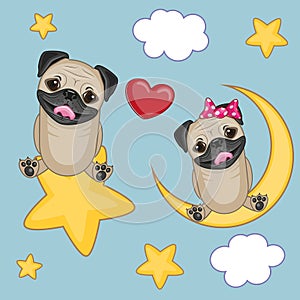 Lovers Pug Dogs