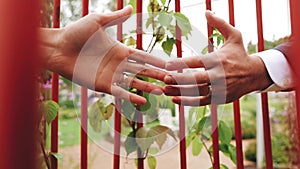 Lovers pull their hands to each other through the bars. Cool close-up. A moment of love.