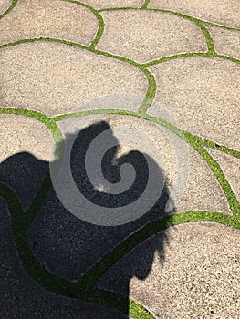 Lovers shadow on the sidewalk in romantic Italy