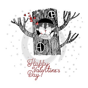 Lovers squirrel. Big beautiful tree.