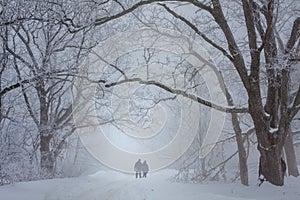 Lovers walking in the snow