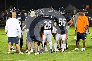 lovie smith and the defense, chicago bears