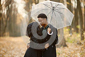 Loving black couple walking in park on autumn day holding a transparent umbrella