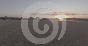 Loving couple bride and groom walk on a mown wheat field at sunset.