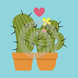 Loving couple of cactus