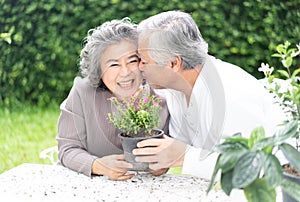 Loving couple have fun in gardening. Happy Asian senior couple engaged in gardening and kissing for his wife in cheek. lifestyle