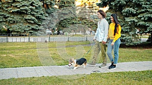 Loving couple man and woman walking welsh corgi dog in city park talking relaxing