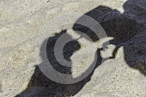 Loving couple shadows making a kiss on tropical sand beach