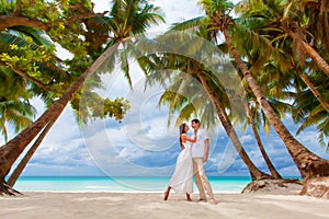 Carinoso sobre el Playa palmera árboles boda 