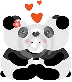 Loving and cute panda couple kissing