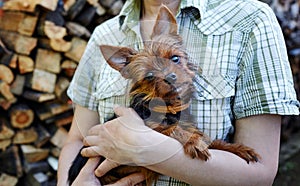 Loving dog in his owner`s arms outdoors