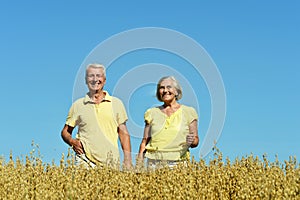 Loving mature couple in field at summer