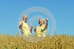 Loving mature couple in field at summer