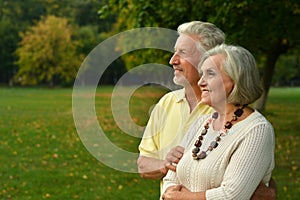 Loving mature couple in the park in summer