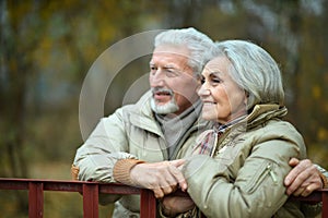 Loving mature couple in the park in summer