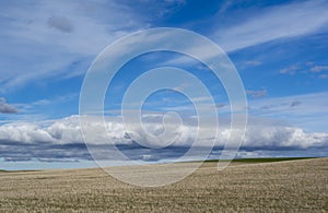 Loving Nature: Heavenly Skies Over Rolling Fields