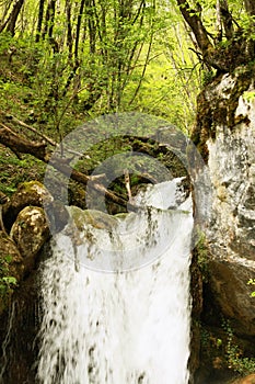 Loving nature - watewrfall