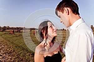 Loving pair on pasture