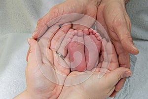 loving parents hands holding a their baby's feet