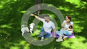 Loving parents spending summer day with baby and dog on green lawn