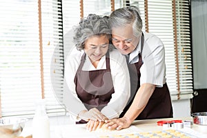 Loving senior Asian couple in aprons and smiling while working w