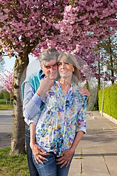 Loving senior couple posing near spring blossom.