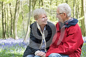 Loving Senior Couple Taking Break On Walk Through Bluebell Wood