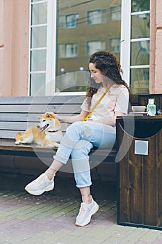 Loving woman caressing shiba inu puppy sitting on bench in street cafe