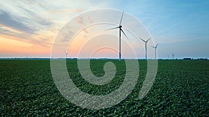 Low aerial over farmland crops and wind farm turbines in background at sunset