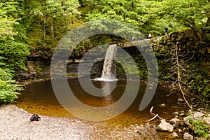 Low aerial view of a picturesque waterfall in a lush, green forest