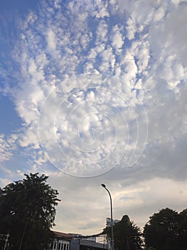 low angle accompanied by blue clouds and trees, it is rare for me to see a clear sky accompanied by thick clouds this afternoon