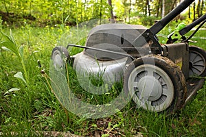 Low Angle Close up lawnmower ready to be cutting long grass or illustrating concept of helping bees