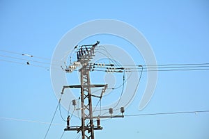 Low angle close-up view of the top part of an electricity distribution pylon and power lines under blue sky