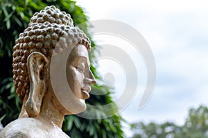 Low angle closeup shot of a buddha statue face with bamboo trees in the background. Focus concept