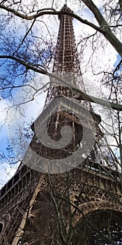 Low angle of the Eiffel tower seen behind bare branches of trees in Paris, France