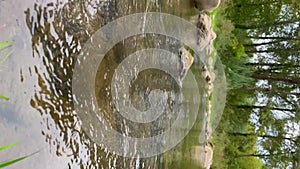 Low angle footage of a river flowing gently between rocks and forest vegetation in Girona, Catalonia.