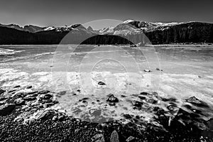 Low angle frozen lake covered in ice with mountains and pine trees landscape