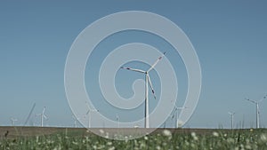 Low angle full shot of wind generators on windmill field with grass