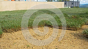 LOW ANGLE: Grass tiles get thrown on soil ground in backyard under construction.