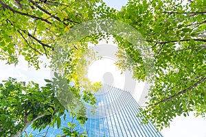 Low angle looking up view of a modern downtown office building surrounded by greenery tree