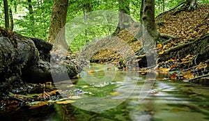 A low angle motion blur image of a small stream running through forest woodland