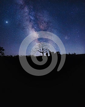 Low-angle of a night sky full of stars behind a mountain, tree silhouettes around