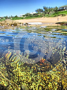 Low-angle photo of beach