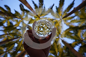Low angle POV of a person golding a crystal ball with palm tree reflections in it