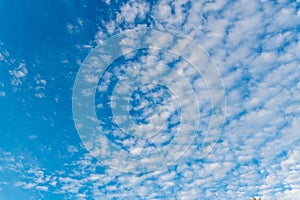 Low angle shot of a beautiful cumulus cloud in a clear blue sky