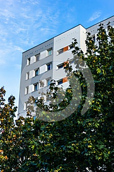 Low angle shot of bushes with a white building with glass windows background